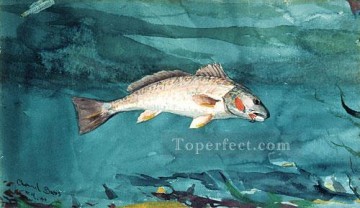 ウィンスロー・ホーマー Painting - Channel Bass Realism 海洋画家 ウィンスロー・ホーマー